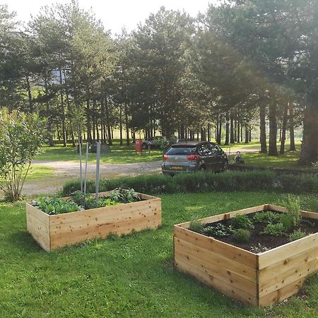 Apartma Kamp Ajdovščina Exteriör bild